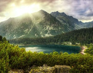 Wisdom in Practice –  Excerpts from the Wisdom 2.0 Business Conference