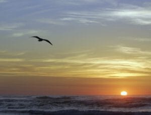 Courage Explored – Confronting Fear