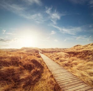 Compassion In Practice – An Interview with Sarah Cox of L.L.Bean – Part 2