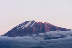 The Courage to Choose Simplicity